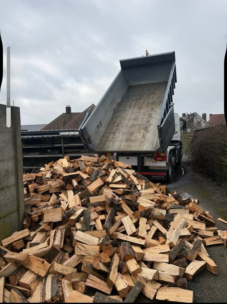 Beuken Brandhout, Enlèvement
