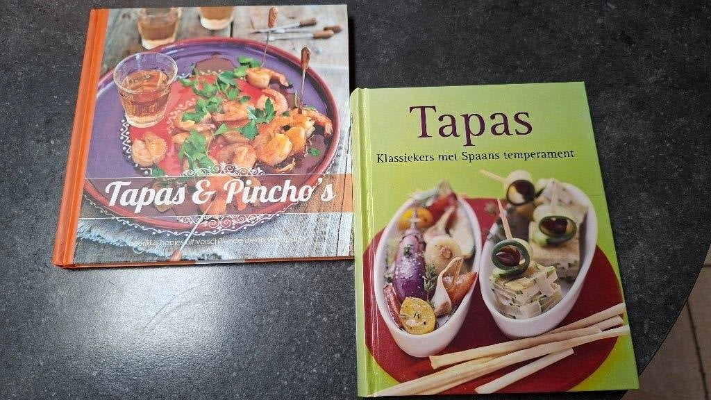 kookboek - tapas & pinchos, Livres, Livres de cuisine, Enlèvement ou Envoi, Comme neuf, Espagne, Tapas, Snacks et Dim Sum