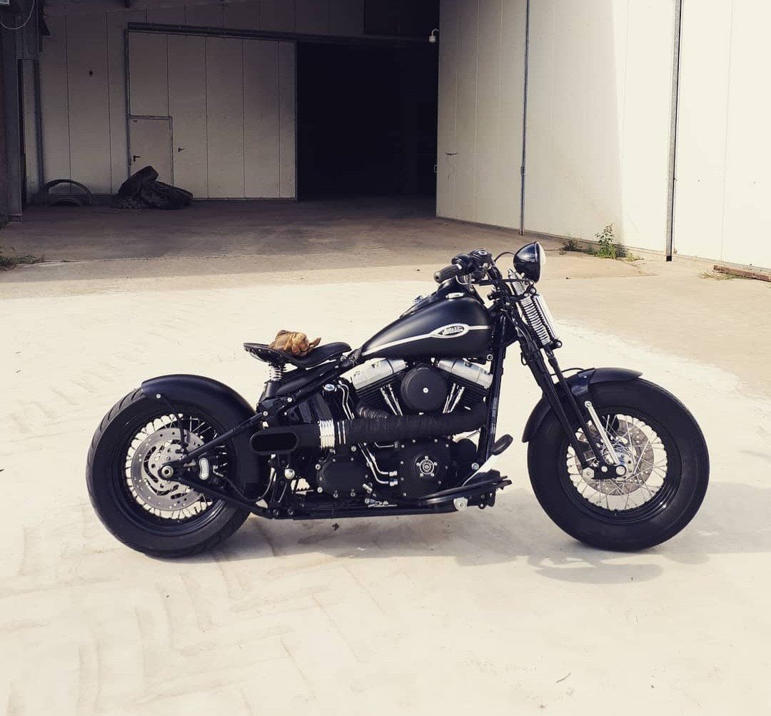 Harley Cross bones 2011, Particulier