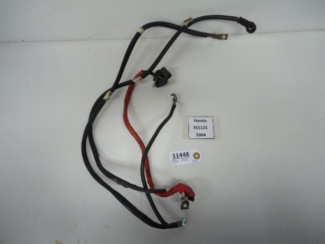 FES125 Pantheon 1997 - 2006 Honda Kabelboom D1-16939