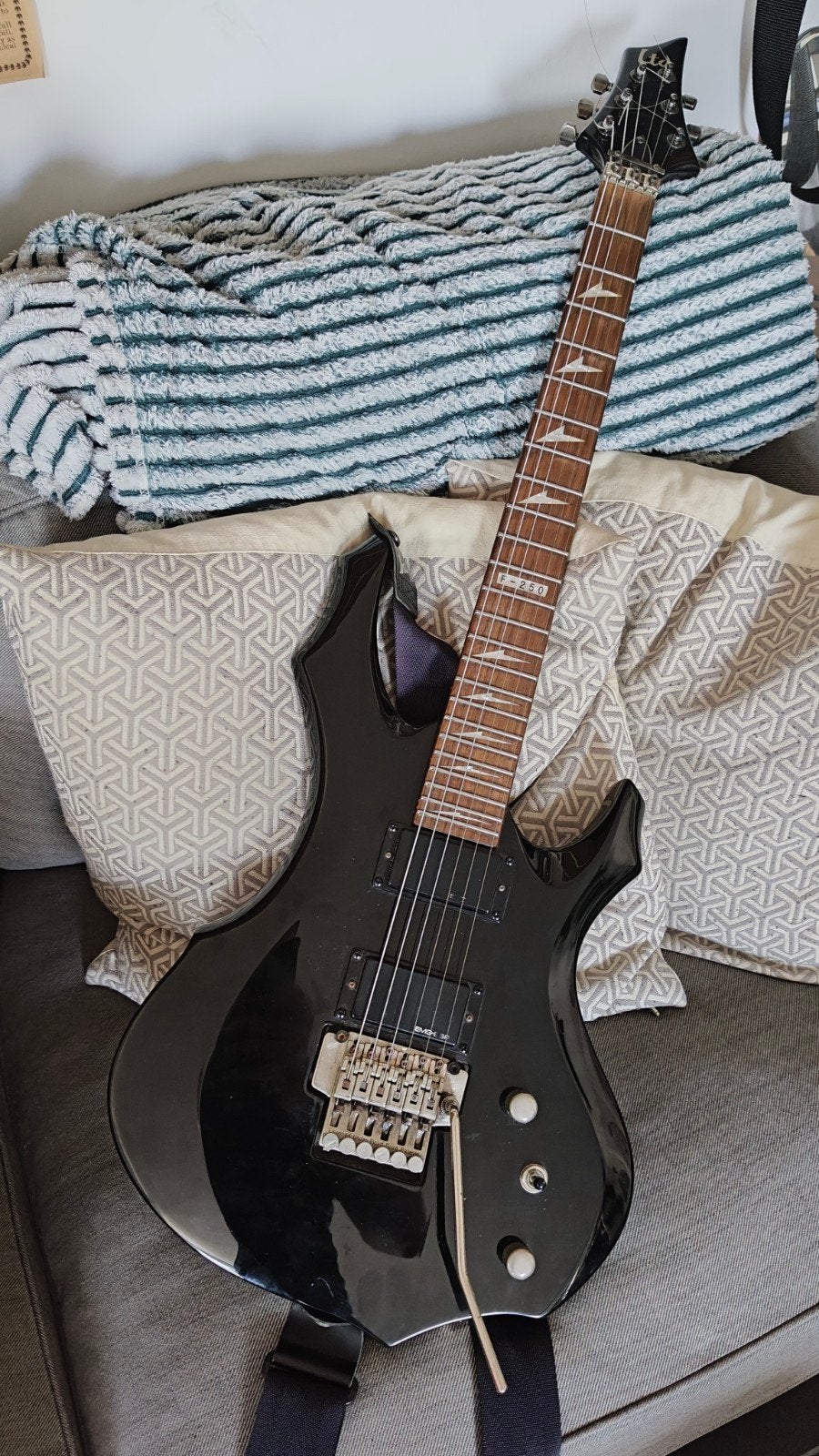 ESP LTD - F-250 met EMG-HZ humbuckers en Floyd Rose, Muziek en Instrumenten, Ophalen, Gebruikt, Solid body, Overige merken