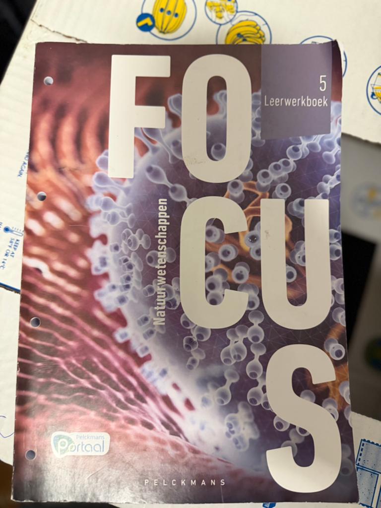 Focus - leerwerkboek 5 - zeer goede staat., Ophalen, Zo goed als nieuw