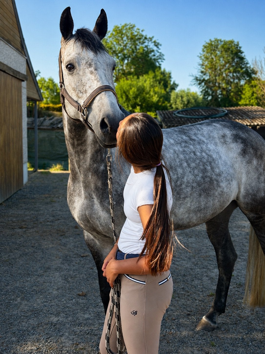 Zangerscheide merrie Untouchable x Nonstop, Merrie