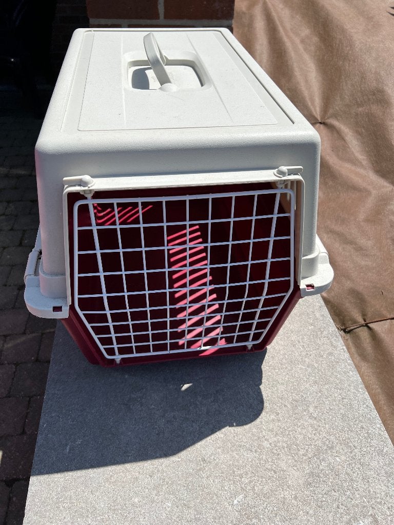 Boîte de transport pour chat ou petit chien, Enlèvement, Comme neuf