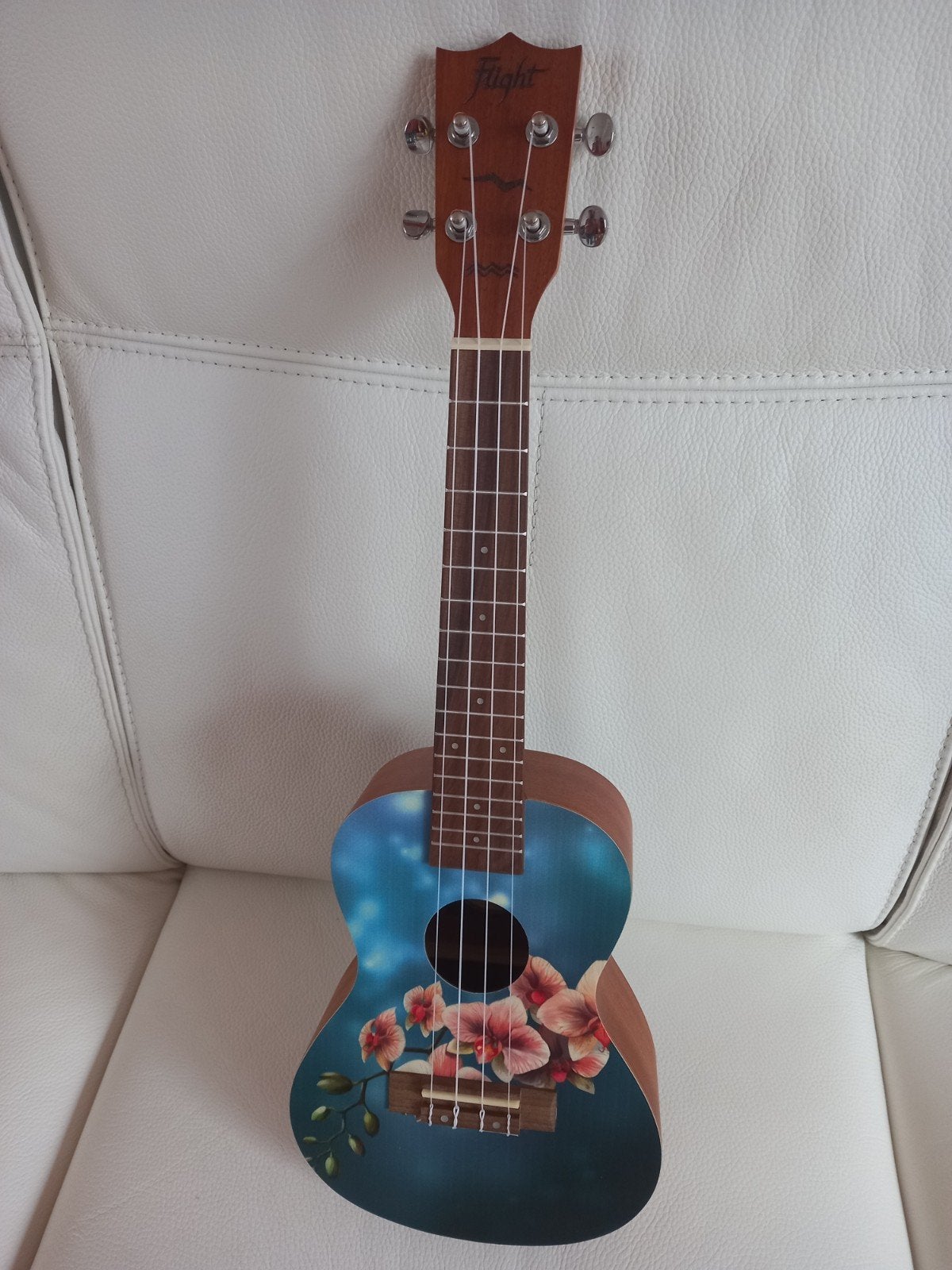 Ukelele, Musique & Instruments, Enlèvement