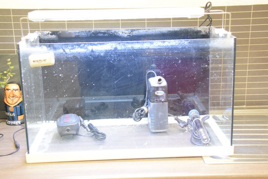Aquarium, Animaux & Accessoires, Enlèvement, Utilisé, Filter