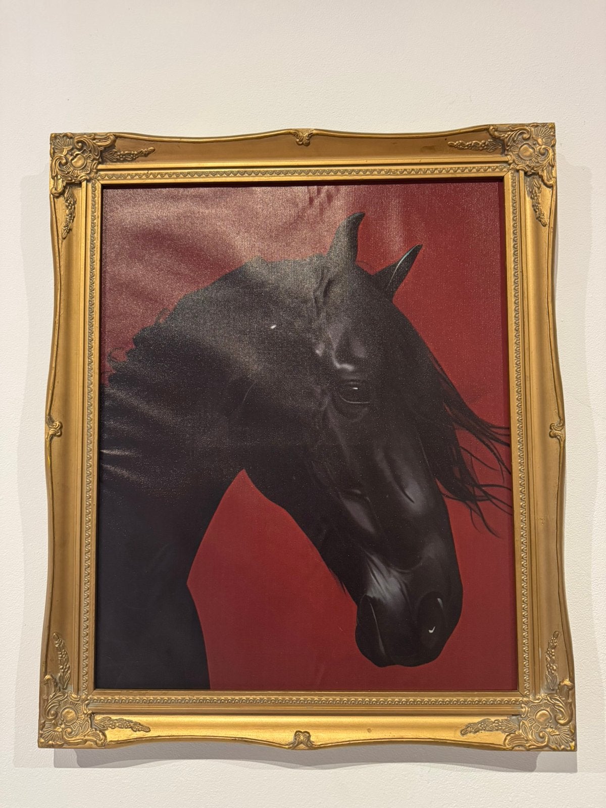 Gouden barokke fotolijst met glas — 54 x 64 cm, Antiek en Kunst, Kunst | Schilderijen | Klassiek, Ophalen