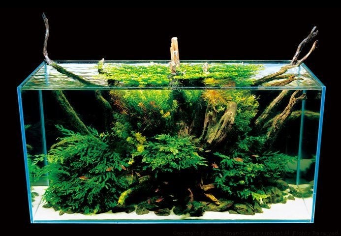 GEZOCHT: AQUARIUM(S) & AQUARIUMSPULLEN, Dieren en Toebehoren, Gebruikt, Overige merken, Ophalen of Verzenden, Leeg aquarium
