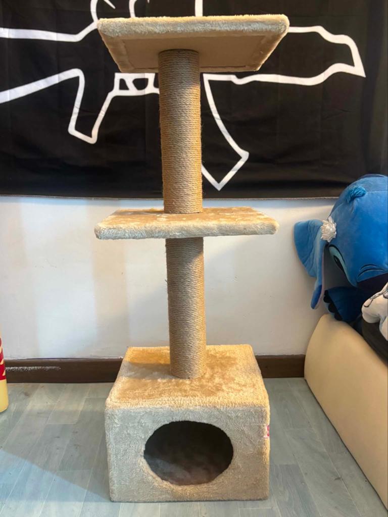 Arbre à chat Neuf!, Enlèvement