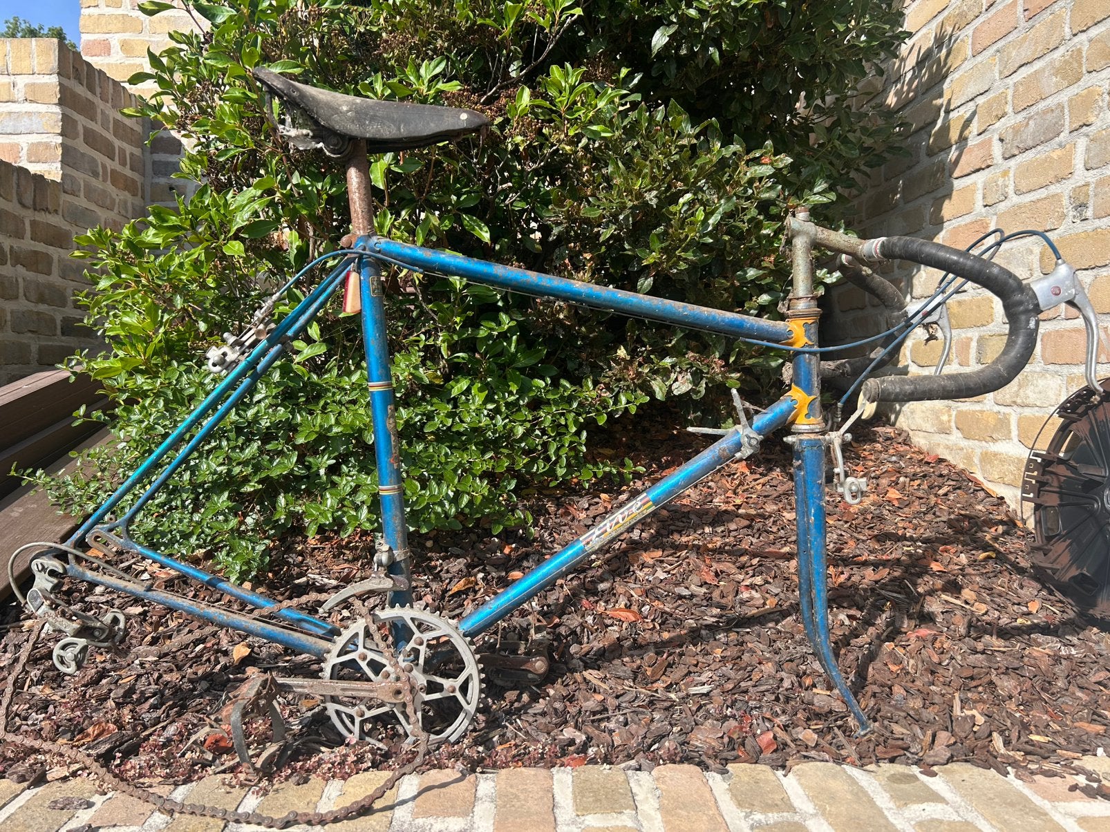 Vélo de course Elve, années 1950, Enlèvement ou Envoi, Utilisé