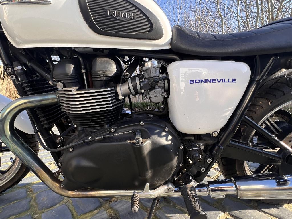 Triumph « Crystal White Pearl » Bonneville 2013, Motos, Tourisme, Plus de 35 kW, 2 cylindres, Particulier