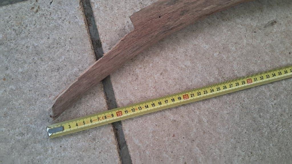 XXL Eikentak 90cm – Premium Hout voor Aquarium & Terrarium, Ophalen, Nieuw, Tak, Plant, Rots of Steen