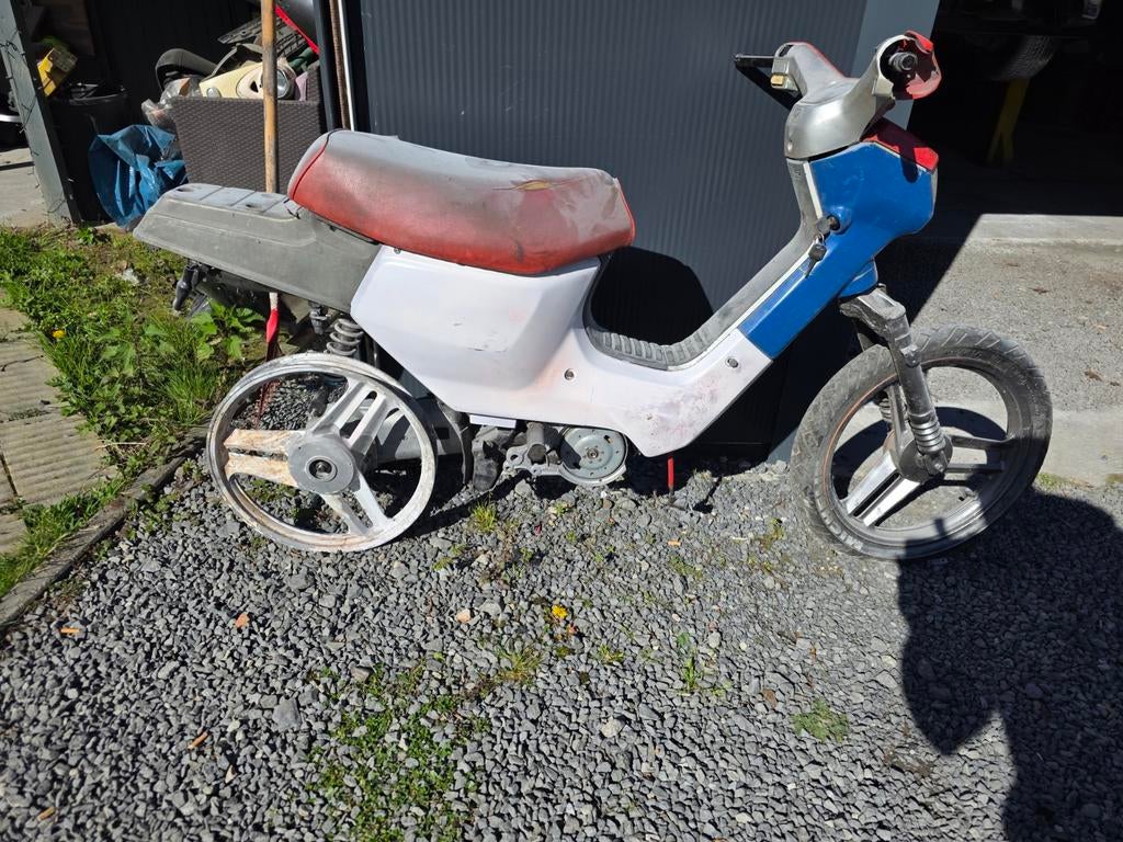 Honda wallaroo, Enlèvement