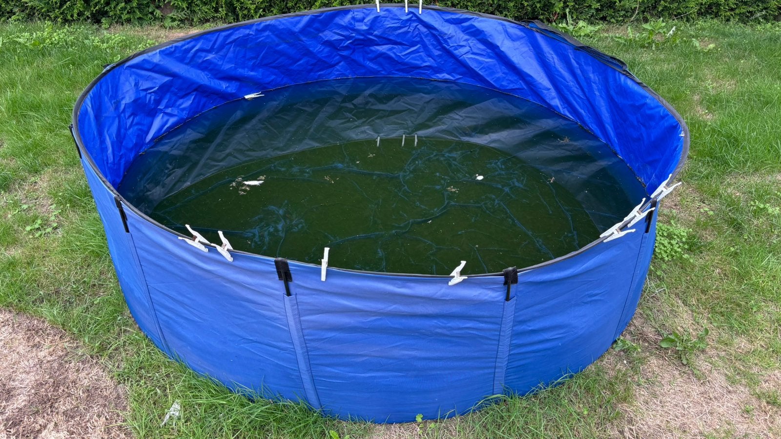 Quarantaine bak, Tuin en Terras, Ophalen, Zo goed als nieuw