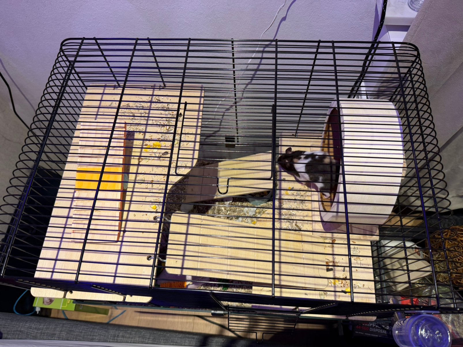 Hamsterkooi met looprad, huisje en drinkbusje, Neuf, Moins de 60 cm, Cage, Hamster