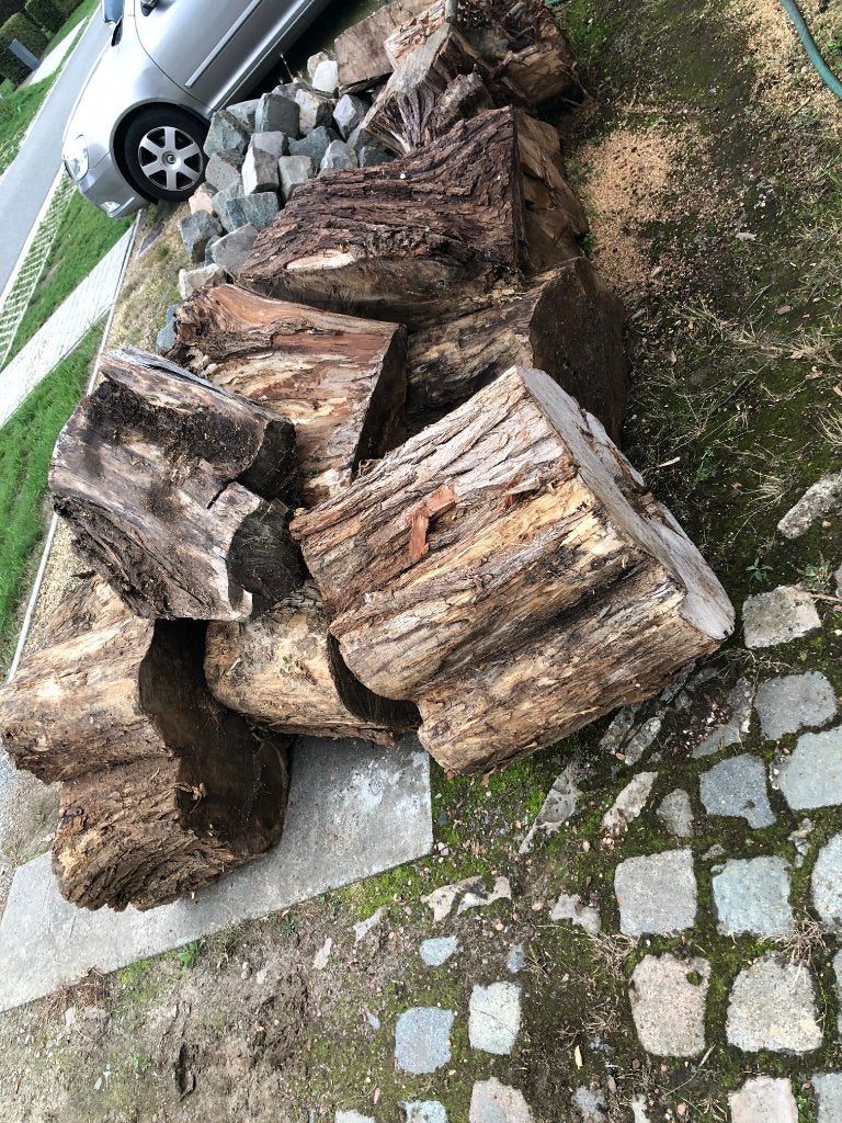 brandhout, Enlèvement, Troncs d'arbres