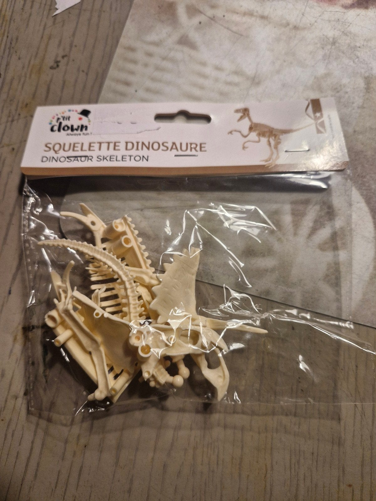 nouveau squekette dinosaure en bonne etat, Enlèvement ou Envoi, Neuf