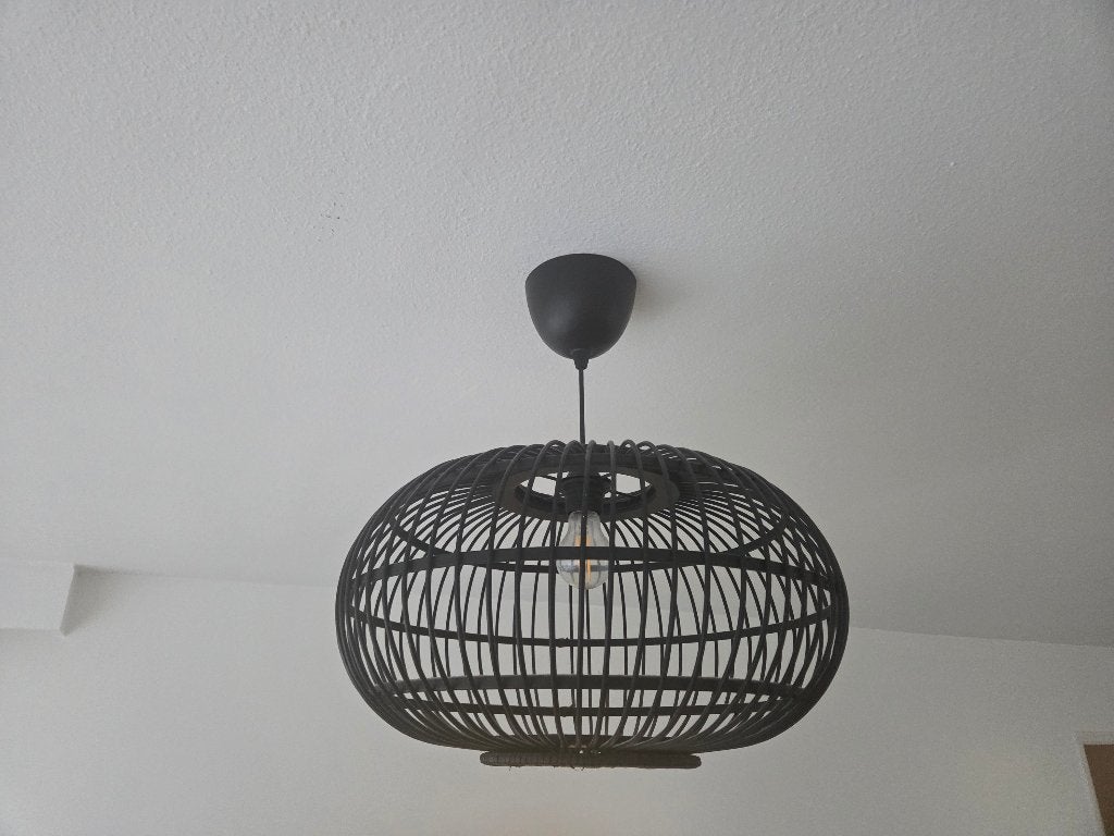 Eetkamer plafondlamp + salon plafondlamp, Enlèvement, Noir, Plafonnier, Design