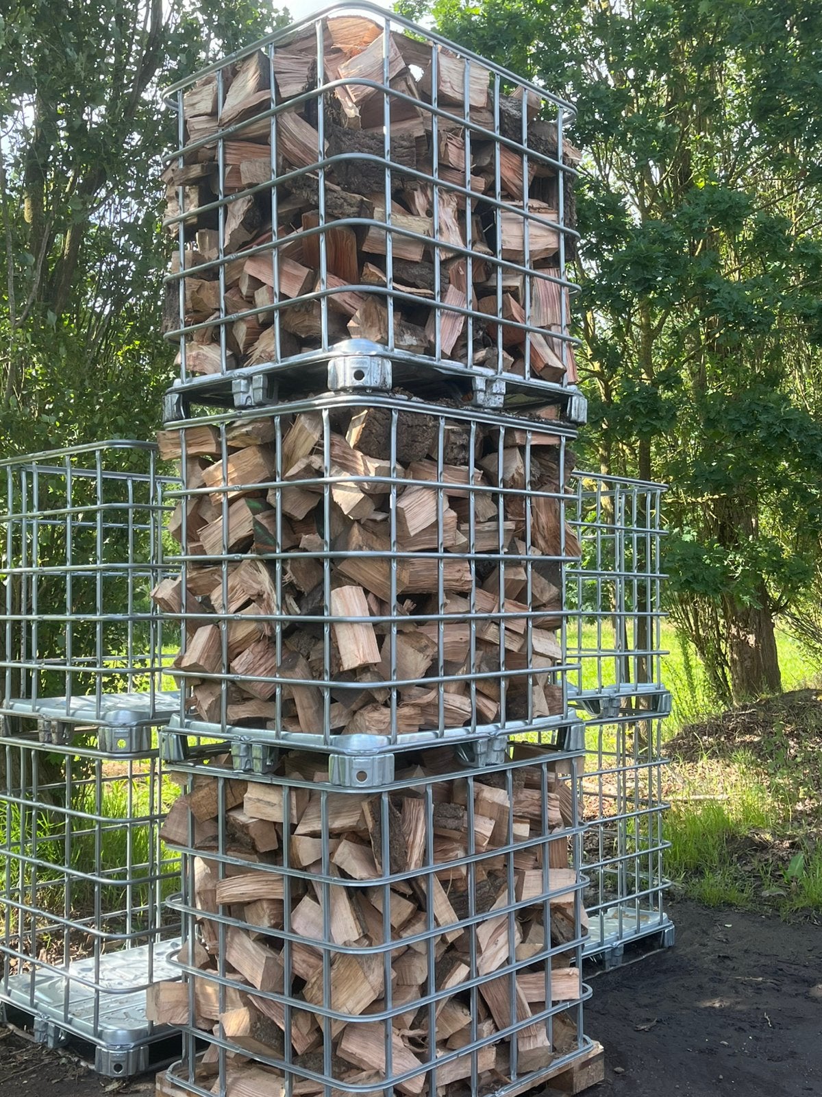 Gekloven Es, 3 à 6 m³, Enlèvement, Frêne, Troncs d'arbres
