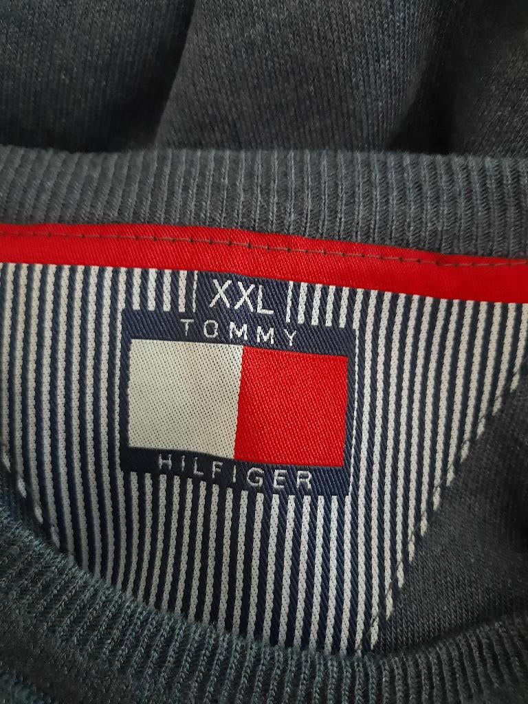 Trui, Kleding | Heren, Truien en Vesten, Ophalen, Blauw, Tommy hilfiger, Maat 56/58 (XL)
