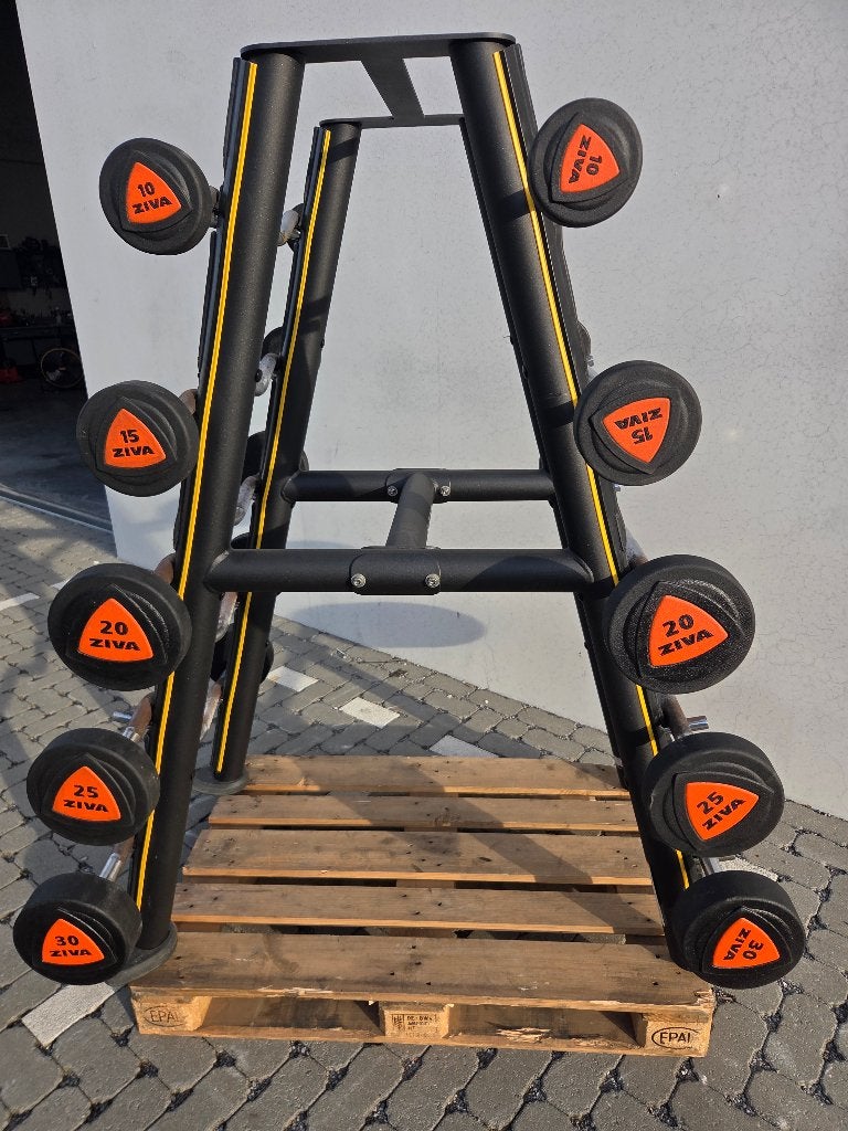 Ziva barbells straight en curl 10 t/m 30 kg incl rack, Enlèvement, Utilisé, Bras, Set d’haltères