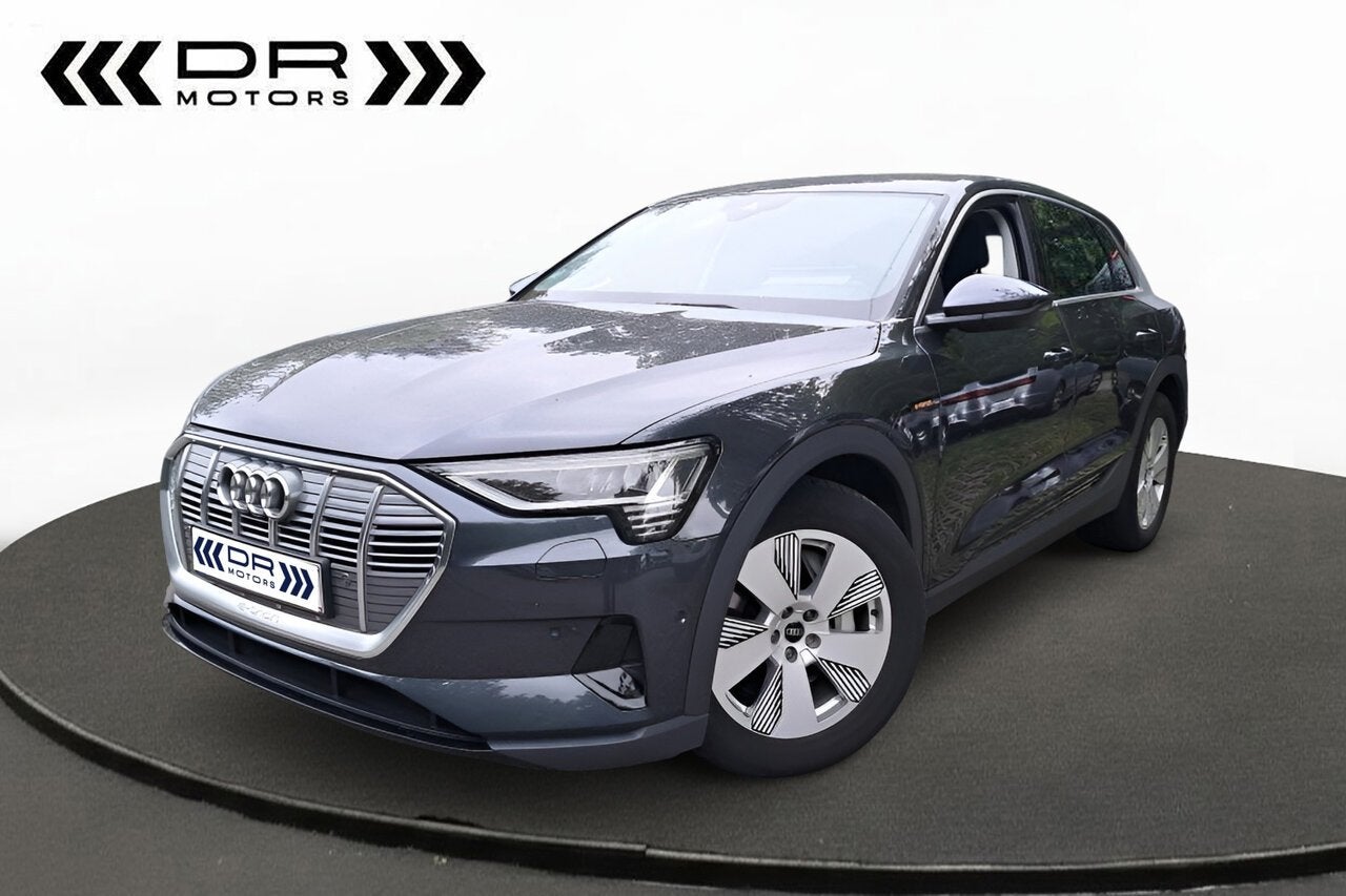 Audi e-tron 55 Quattro Attractive - LEDER - TREKHAAK, Autos, 0 kg, Argent ou Gris, 408 ch, 0 kg