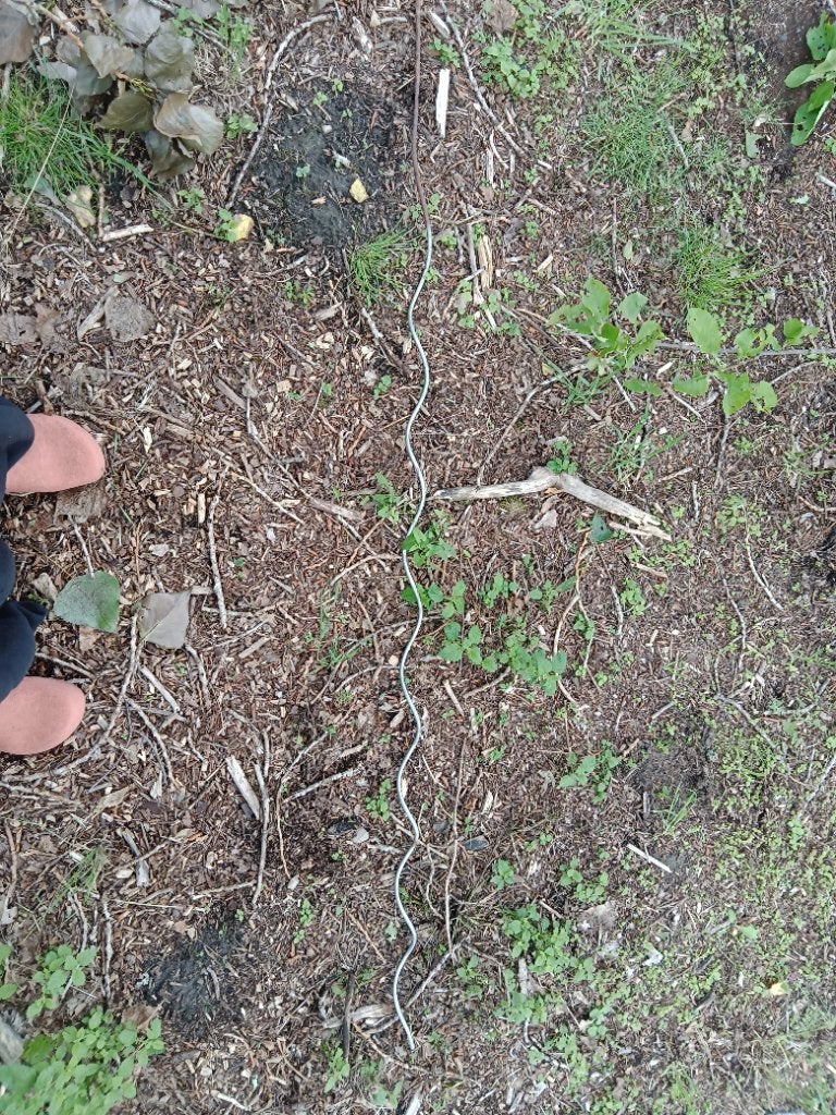 Gegalvaniseerde tomatenspiralen, Tuin en Terras, Ophalen, Gebruikt, Overige typen