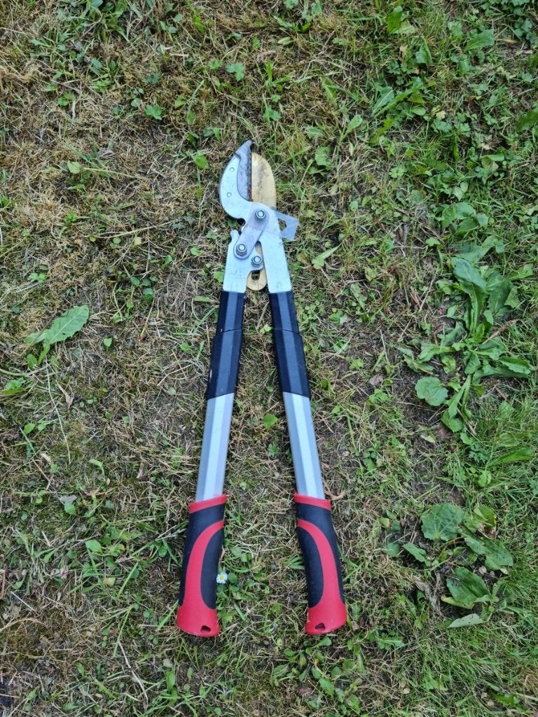 Coupe branche, Tuin en Terras, Takkenscharen, Ophalen, Gebruikt, Telescopisch