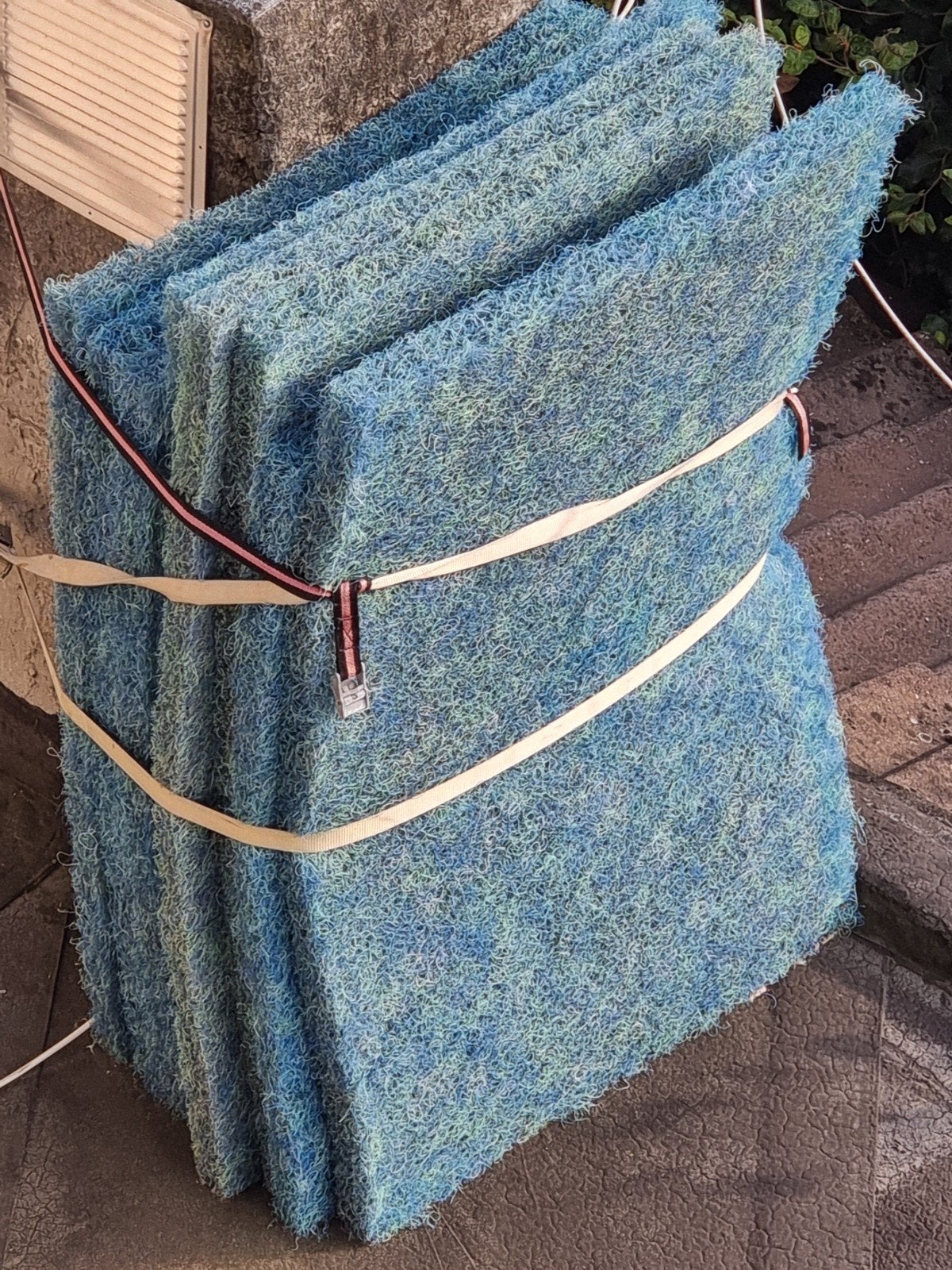 tapis japonais, Animaux & Accessoires, Poissons | Poissons d'étang