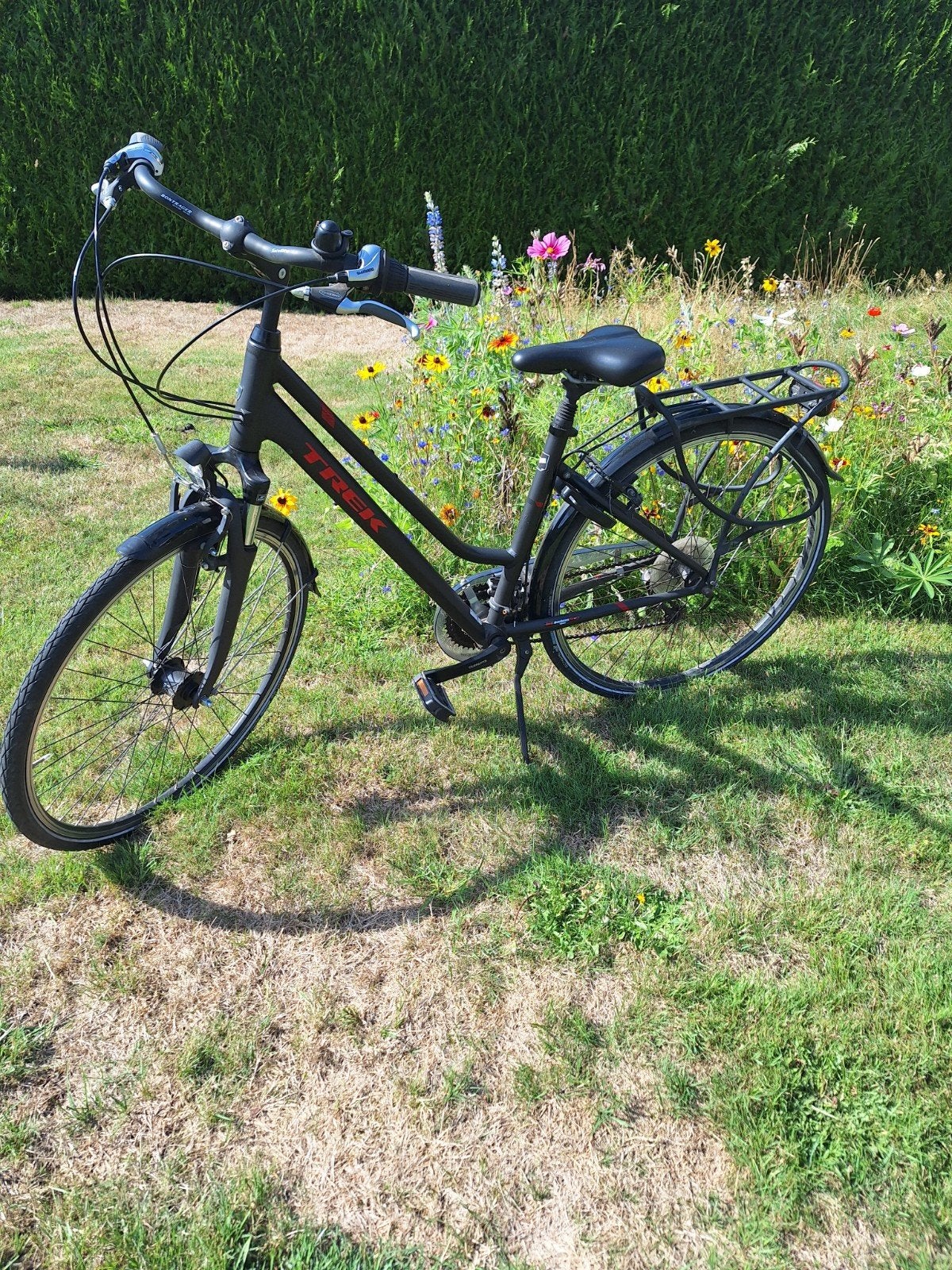 damesfiets Trek, Enlèvement