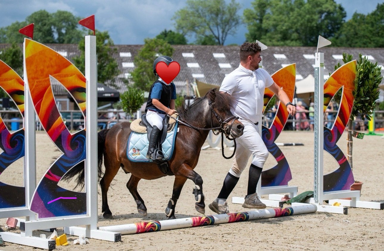 Bomproof kinderpony (Shetlander), Met stamboom, B, Ruin, A pony (tot 1.17m)