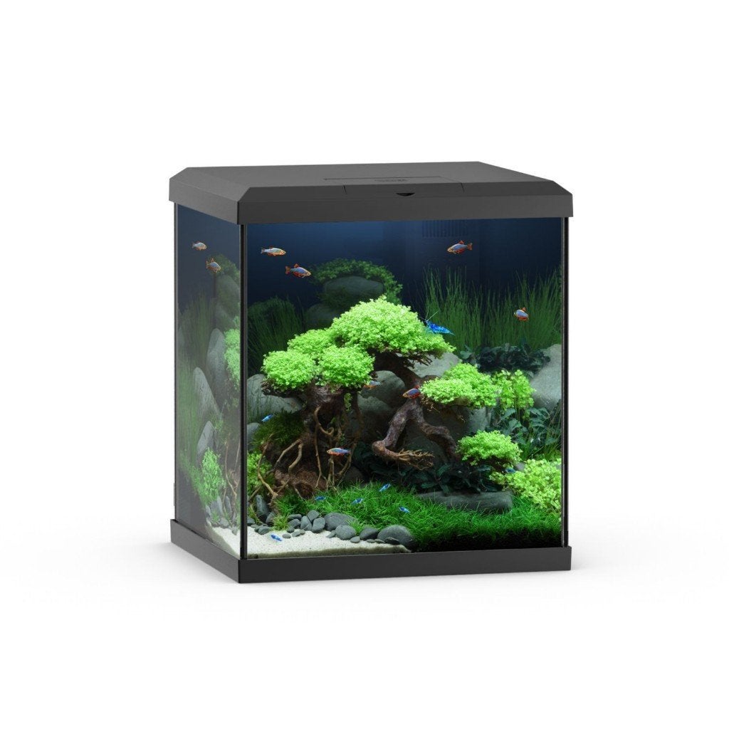 AQUARIUM KUBUS GEZOCHT, Dieren en Toebehoren, Ophalen, Zo goed als nieuw, Leeg aquarium, Juwel