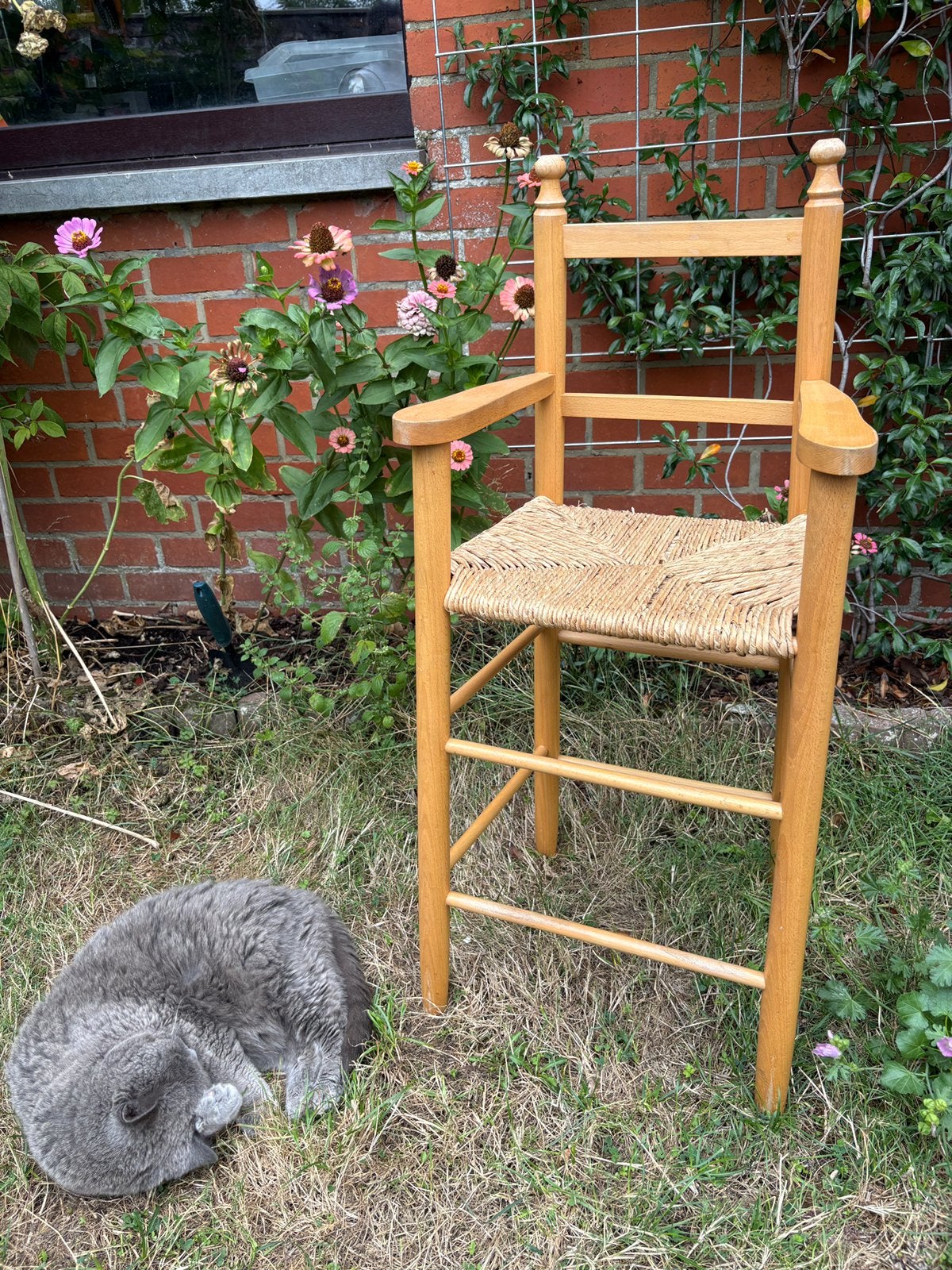 Chaise pour enfant en bois et rotin., Enlèvement, Utilisé, Chaise évolutive