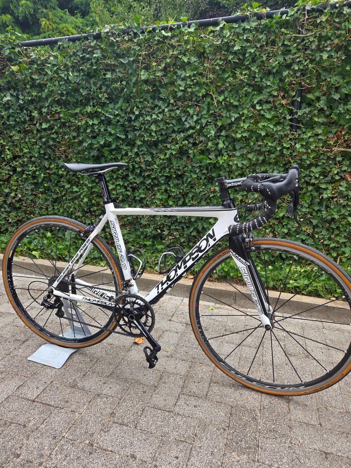 Thompson Sirius 2.0 maat 52, Fietsen en Brommers, 28 inch, Gebruikt, Carbon, Velgrem
