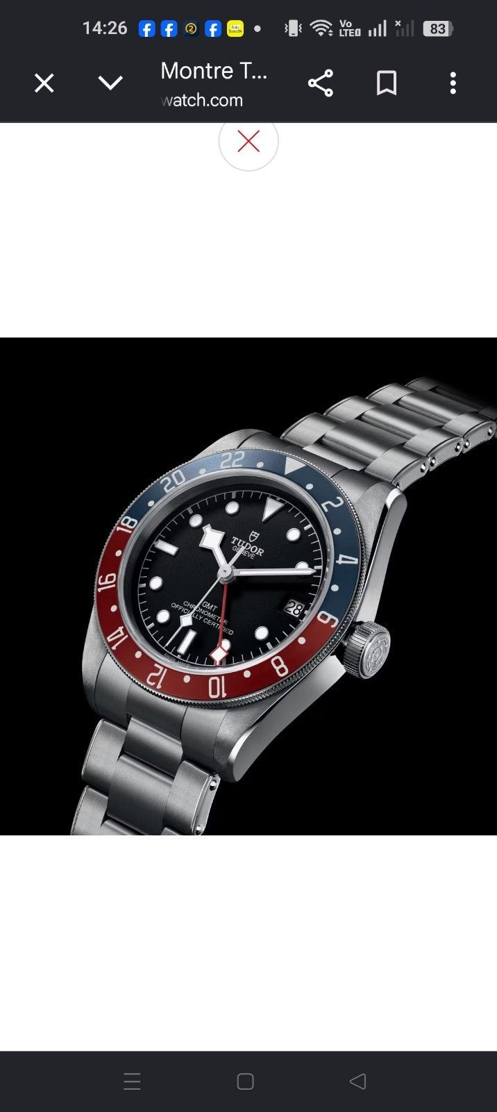 montres Tudor (collection privée), Bijoux, Sacs & Beauté, Enlèvement ou Envoi