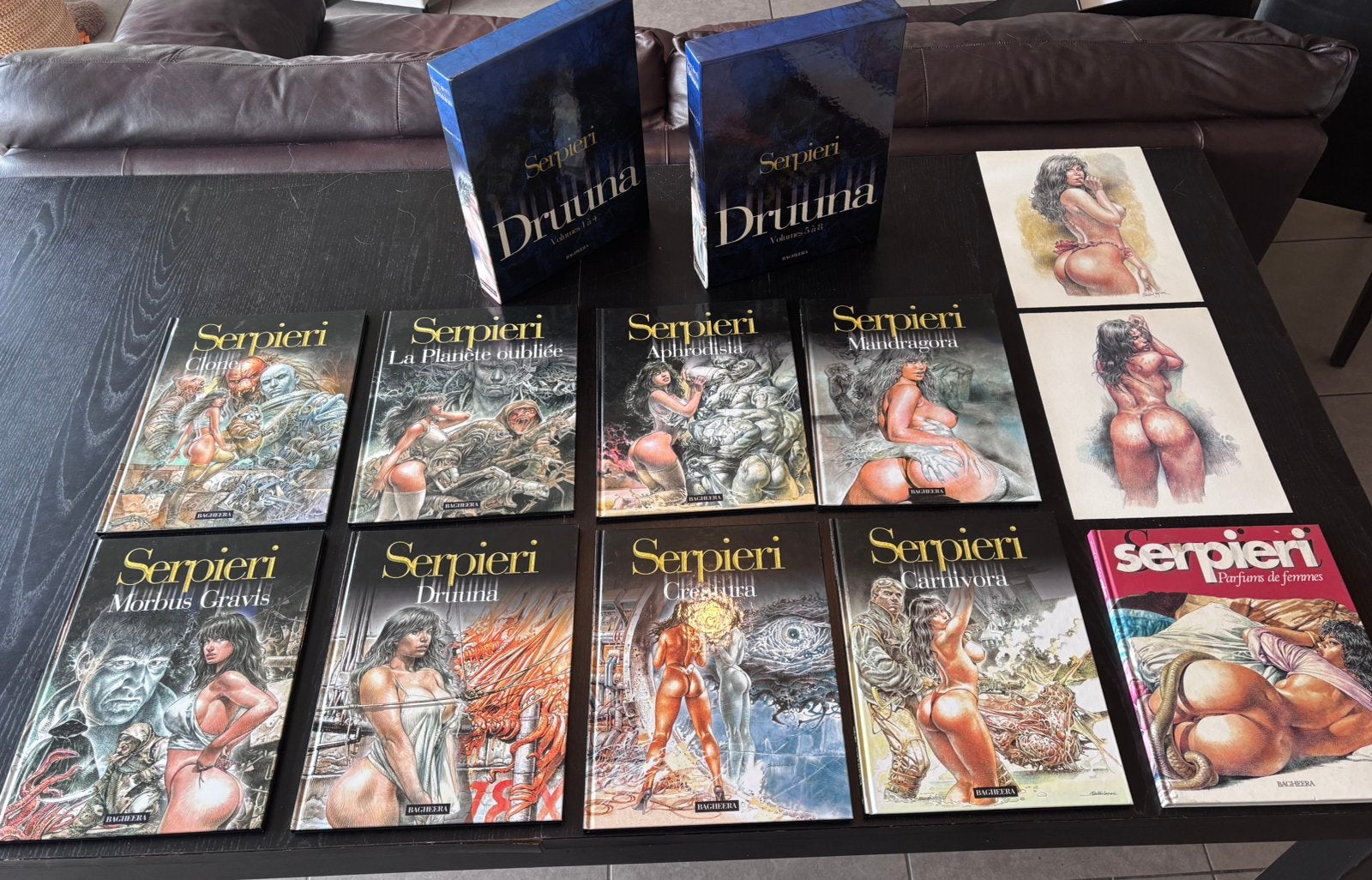 Collection Druuna / Serpieri – coffrets + illustrations, Livres, Enlèvement ou Envoi, Comme neuf