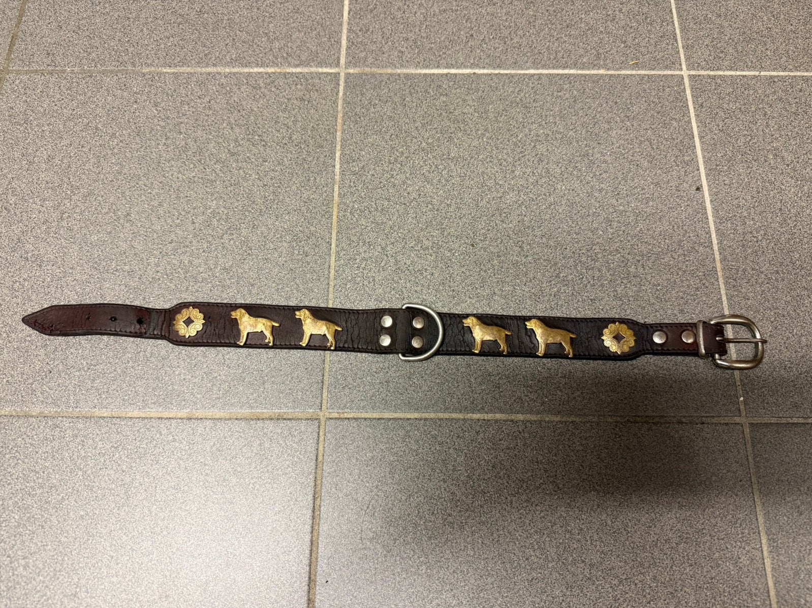 Laisse pour chien en cuir style appenzeller 55 cm, Animaux & Accessoires, Enlèvement ou Envoi, Comme neuf