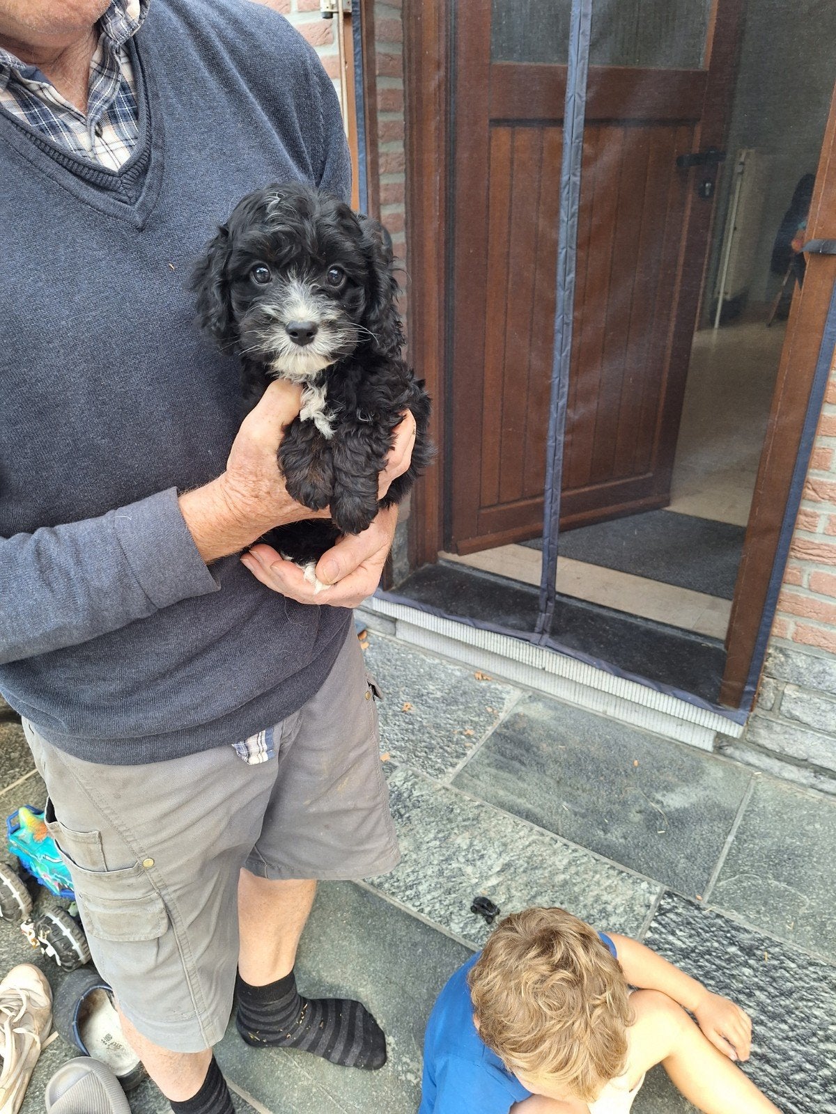 cavapoo pups, Dieren en Toebehoren, België, CDV (hondenziekte), 8 tot 15 weken, Meerdere