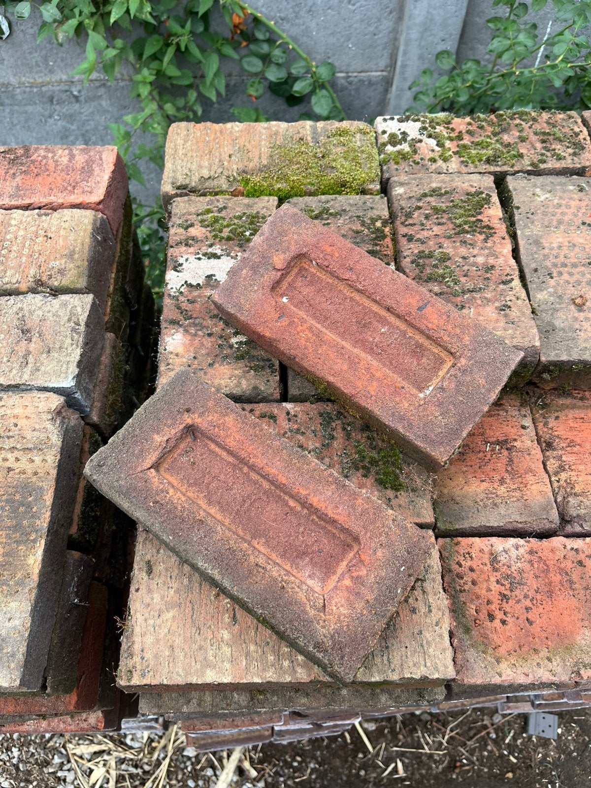 Donkerrode bakstenen, Doe-het-zelf en Bouw, Ophalen, Gebruikt, Bakstenen