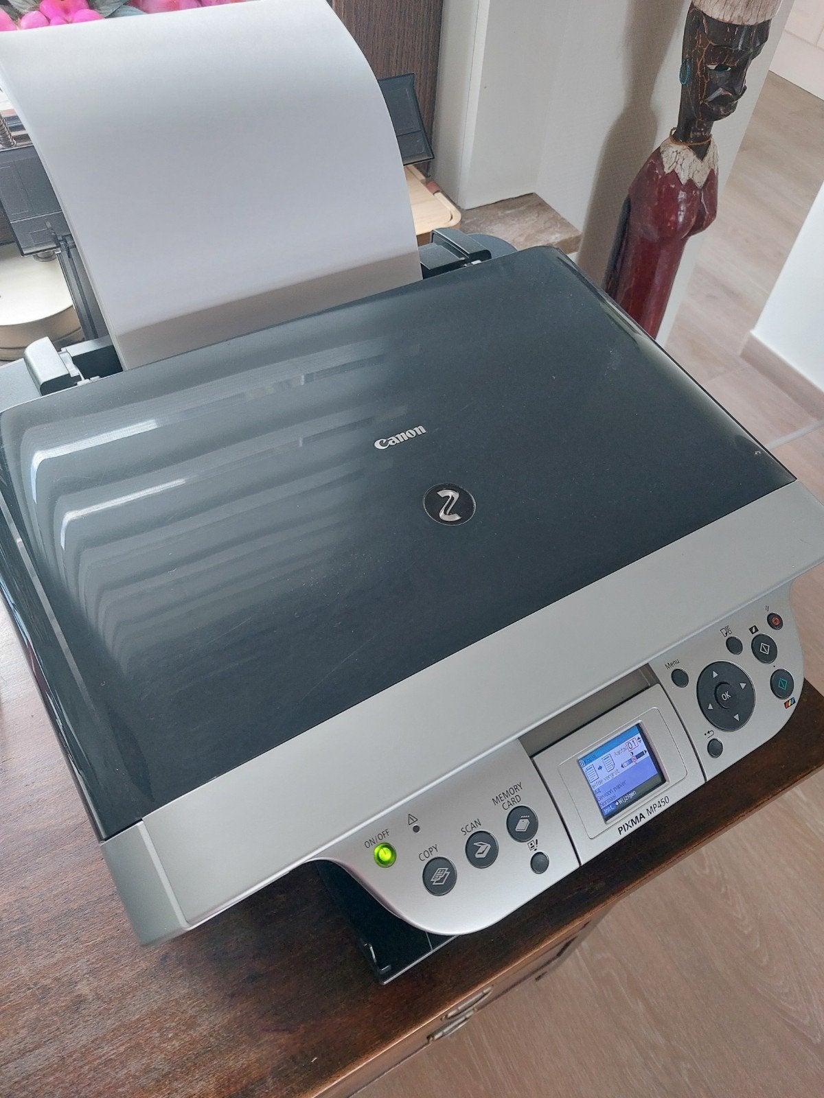 Printer Canon Pixma MP450, Computers en Software, Printers, Ophalen, Printer