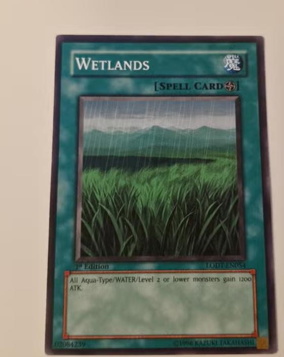 Yu-Gi-Oh! Wetlands Spell Card 1st Edition LODT-EN054, Ophalen of Verzenden, Zo goed als nieuw