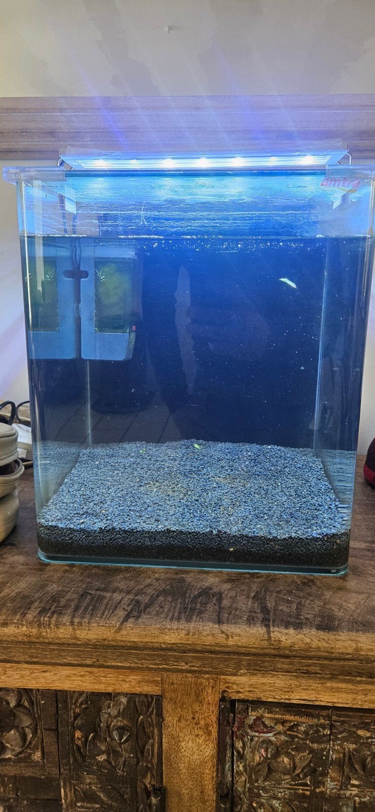 nano aquarium, Animaux & Accessoires, Aquarium d'eau douce rempli, Comme neuf, Enlèvement, Accessoires inclus
