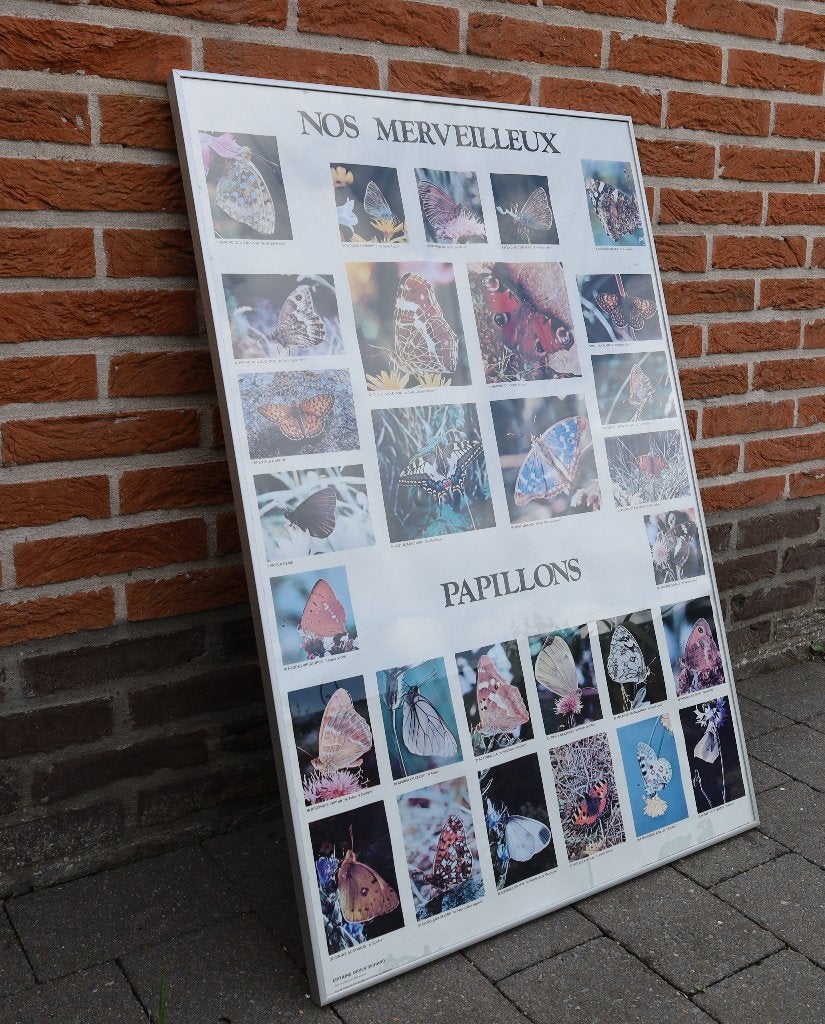 Kader, Huis en Inrichting, Woonaccessoires | Lijsten, Ophalen, Hangend, 90 cm, Fotolijst