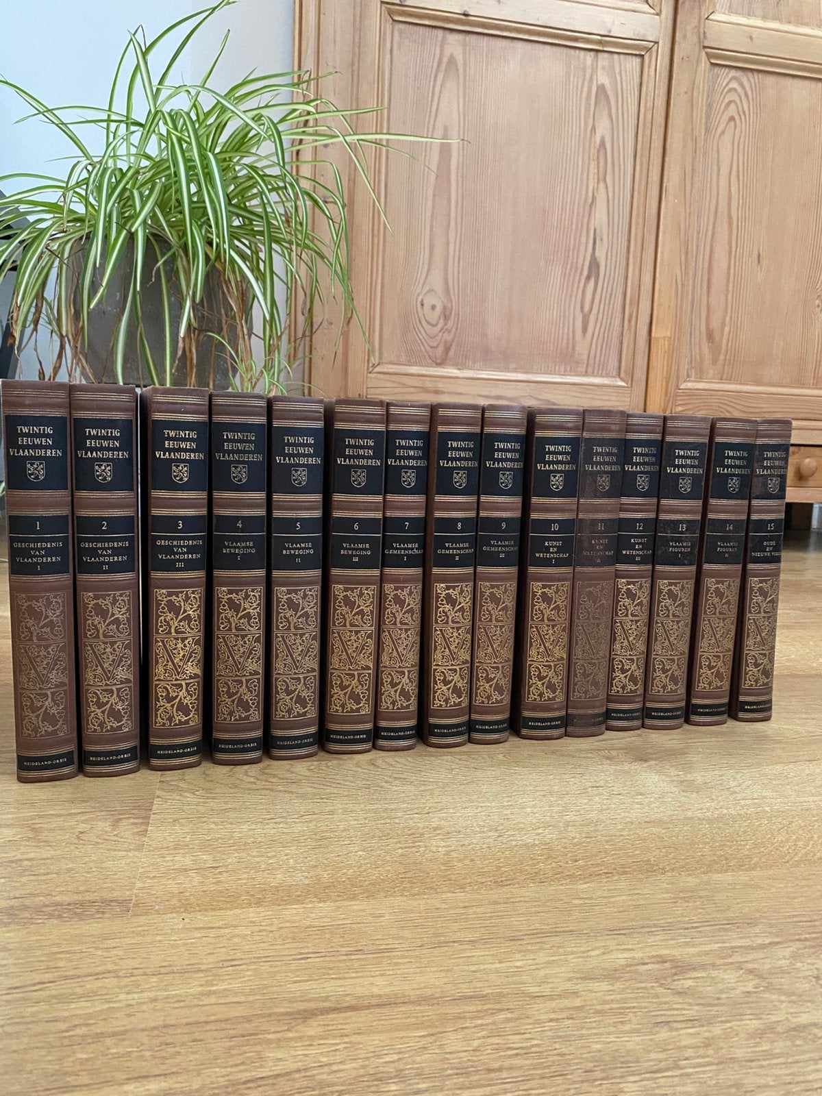 Twintig eeuwen vlaanderen: encyclopedie, Livres, Encyclopédies, Série complète, Enlèvement, Utilisé, Autres sujets/thèmes