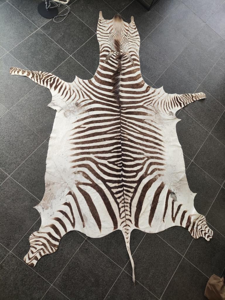 Zebrahuid Hartmann, Huis en Inrichting, Ophalen, Gebruikt, 100 tot 150 cm, 200 cm of meer