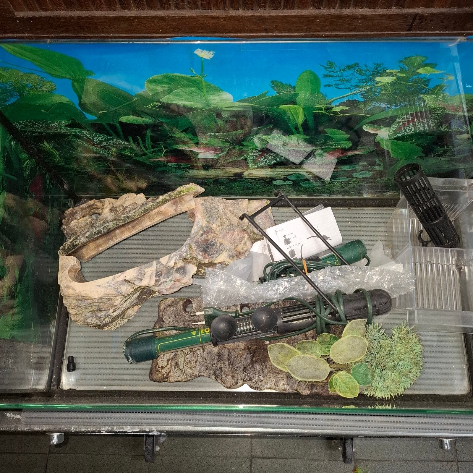 terrarium, Dieren en Toebehoren, Ophalen, Gebruikt, Terrarium of Paludarium