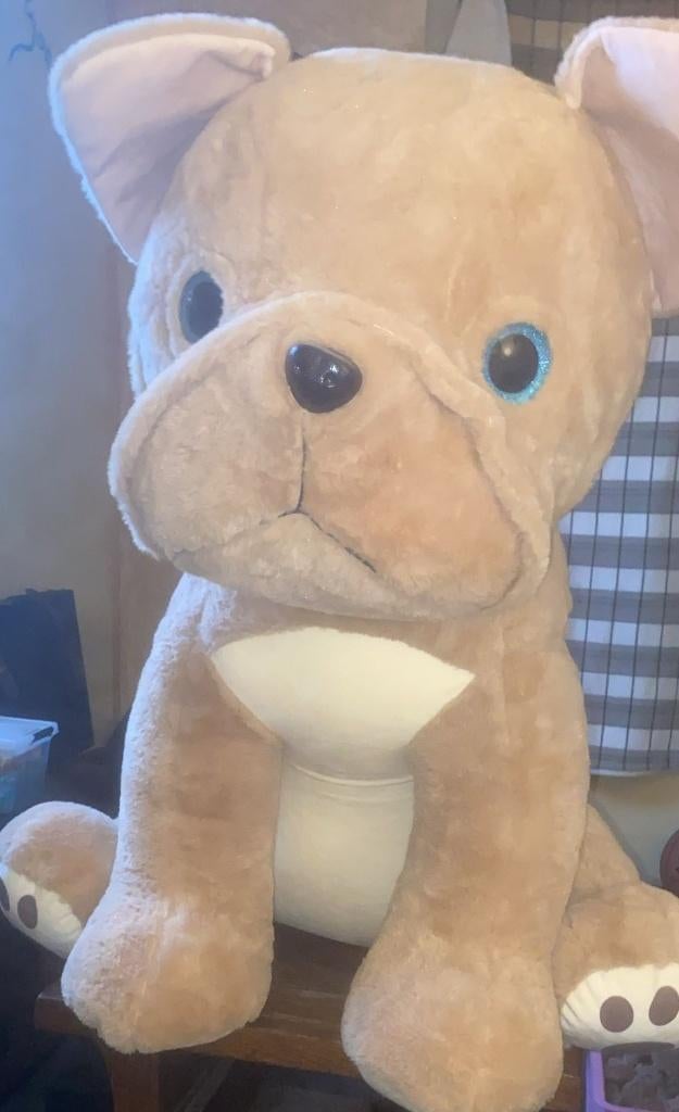 Teddybeer (hond), Collections, Ours & Peluches, Enlèvement, Comme neuf, Ours en tissus, Autres marques