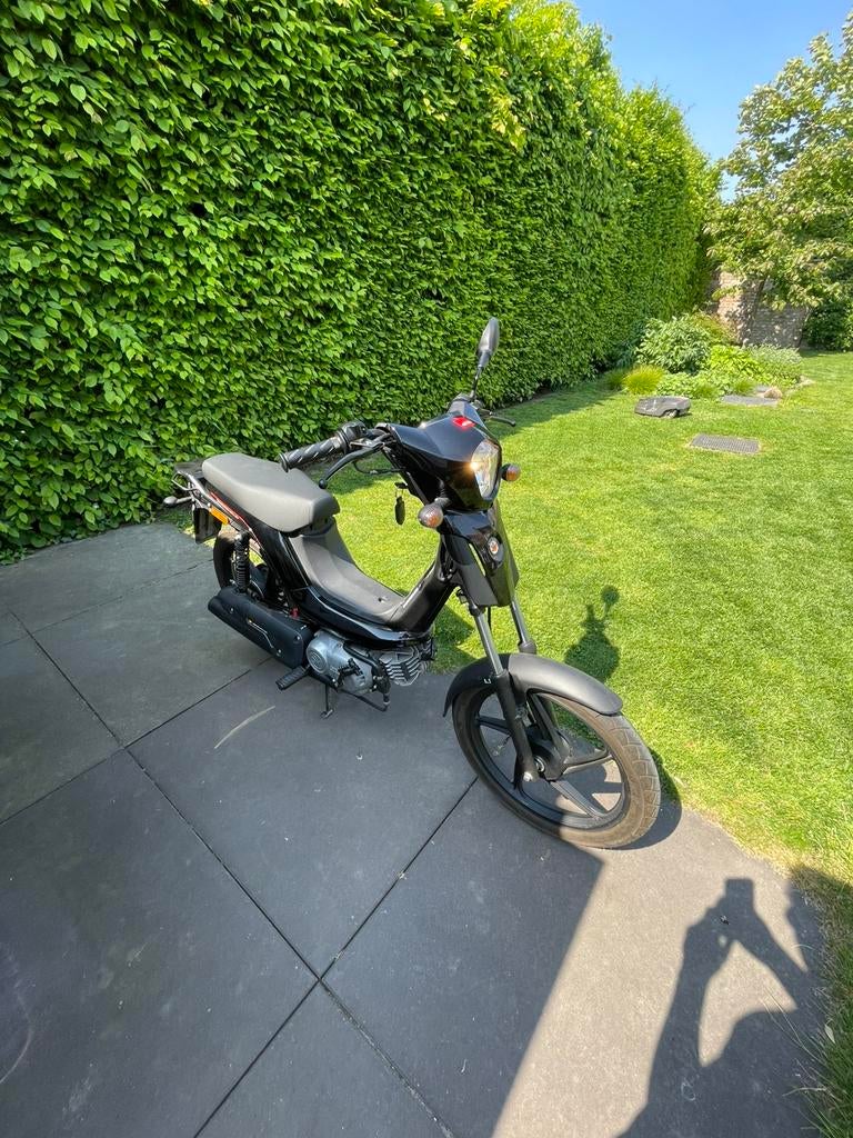 Vélo Rieju Bye 50cc en véritable état neuf, Vélos & Vélomoteurs, Cyclomoteurs | Tomos, Comme neuf, Classe A (25 km/h), Enlèvement