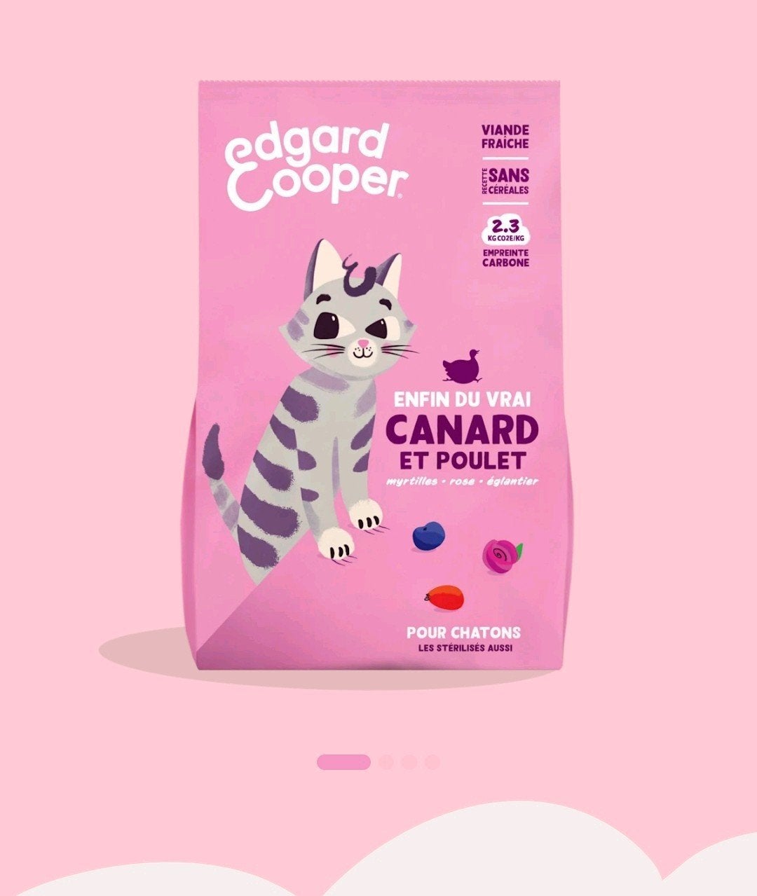 Croquette pour chaton employé une fois, Animaux & Accessoires, Enlèvement