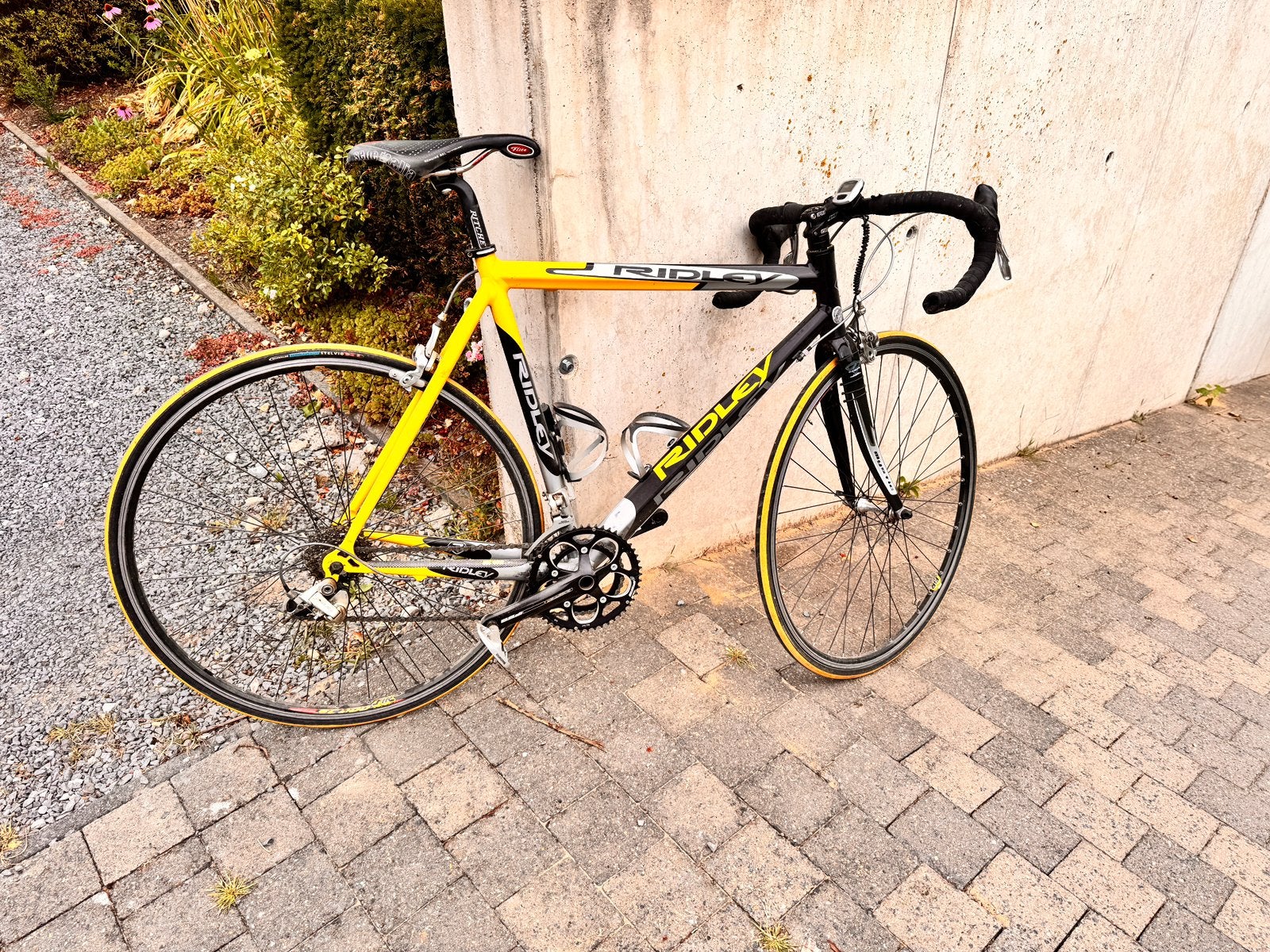 Racefiets ridley, Autres marques, 10 à 15 vitesses, Frein sur jante, Enlèvement